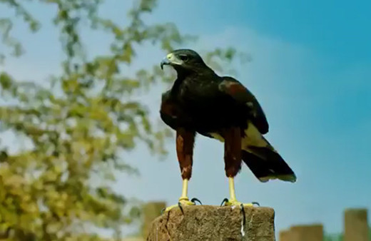 'Kutlu Şehir Ahlat' tanıtım filmi yayınlandı