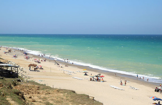 İstanbul'un saklı cenneti 'Ormanlı'