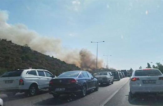 İzmir'deki orman yangını otoyolu kapattı