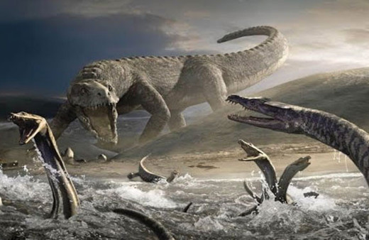 Dünyaya gelen ilk hayvanların sırrı sonunda çözüldü