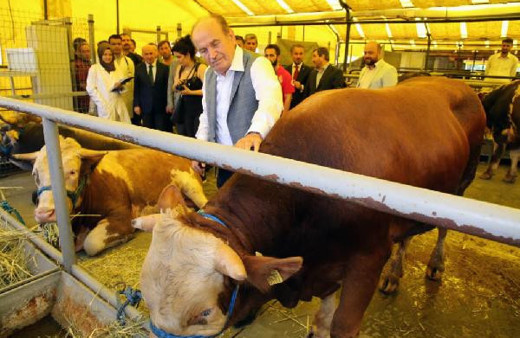 Kadir Topbaş İstanbul'daki kurban kesim yerlerini gezdi