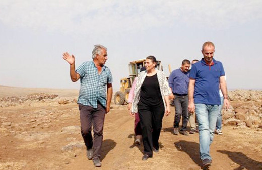 DBP kayyum atanmayınca Birsen Kaya Akat'ı ihraç etmişti