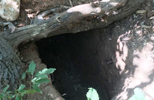 Diyarbakır'da yakalandı bu delikten çıkarıldı