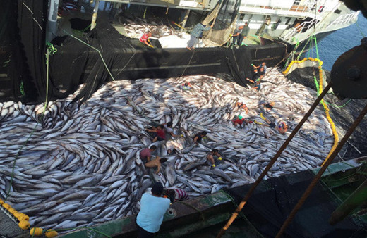 Bütün ülke Türk balıkçıları konuşuyor...
