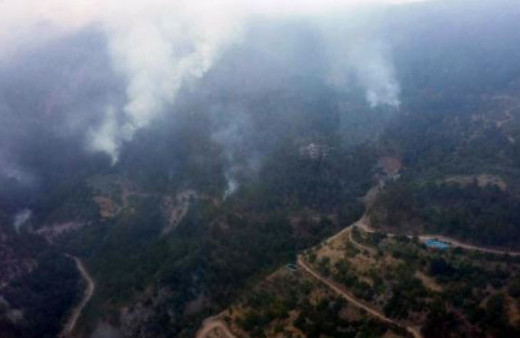 PKK'lı hainler kaçarken ateşe vermişti Amanoslar'da son durum?