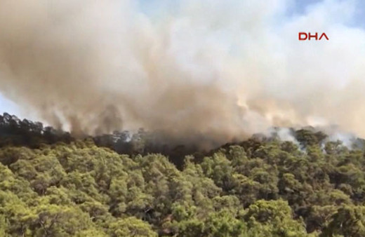 Tatil cenneti Fethiye'de orman yangını