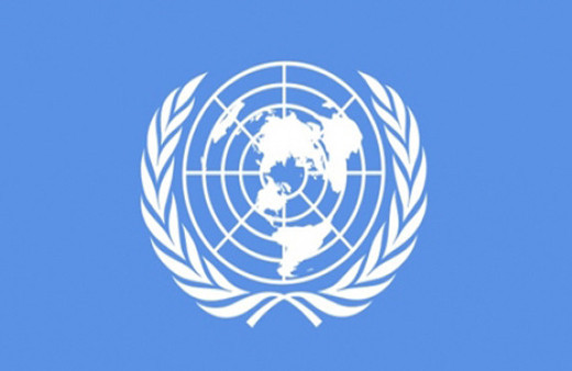 Birleşmiş Milletler'den Suriyelilere 25 tır yardım