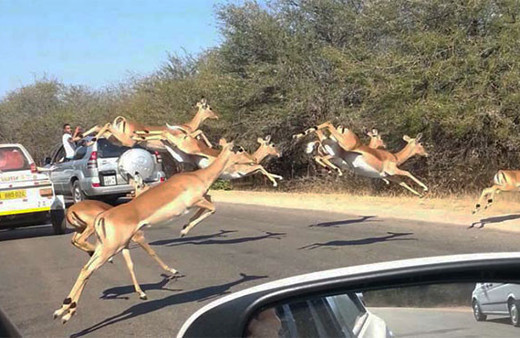 Adeta uçarak geldiler o an beklenmedik bir şey oldu