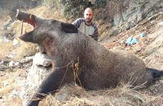 Görenler gözlerine inanamadı!