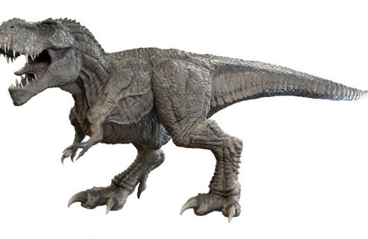 Dinozorlar döneminden kalma canlı bitki bulundu