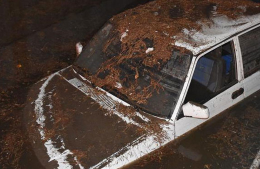 Yağmur ve sel Antalya'da tarım arazilerini Kırşehir'de arıları vurdu