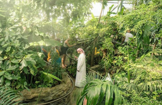 Dubai Dünyanın en yeşil kenti olacak