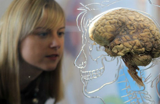 Kadınların beyni çok daha aktif