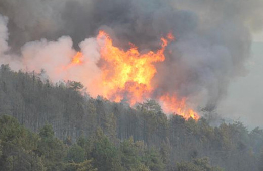 Kütahya'daki orman yangını kontrol altına alındı