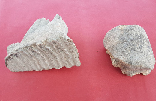 Adana'da kazı çalışmalarında bakın ne bulundu!