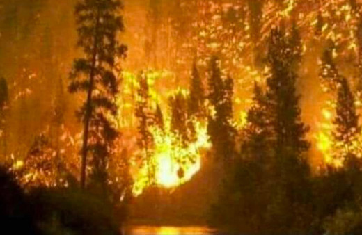 Domaniç'teki yangın Bilecik'e sıçradı