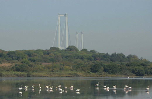 Kuş oteli"nin konukları bu yıl erken geldi