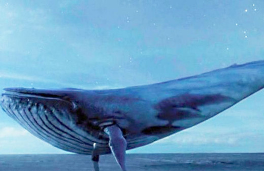 Öldüren oyun Mavi Balina'dan kurtulanlar tüyleri diken diken etti