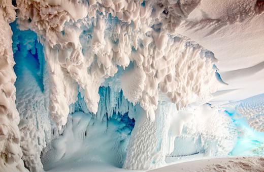 Antarktika’nın mağaralarında daha önce keşfedilmemiş canlılar yaşıyor 