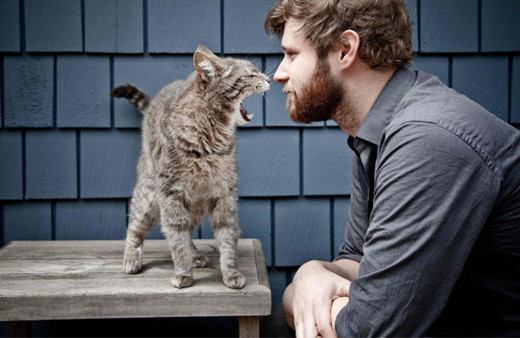 Erkekler dikkat kedi tırmalaması öyle bir şeye neden oluyor ki...