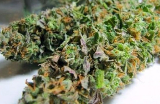 Korkutan gelişme: Esrardan 20 kat daha tehlikeli!