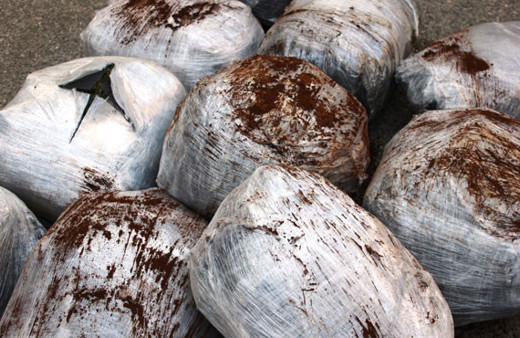 Böylesi şeytanın bile aklına gelmez