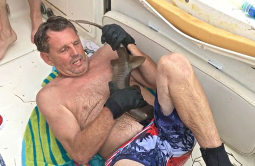 ABD'de yavru köpek balığı saldırısı