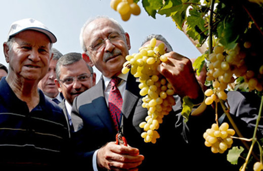 Kılıçdaroğlu 'üzüm mitingi' öncesi üzüm kesti