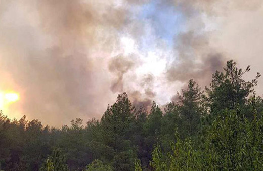 Mahalle boşaltıldı: Yangın kontrol altına alınamıyor!