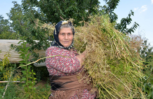 Ümmiye teyze ders kitaplarına konu oldu