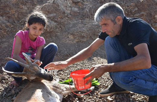 Çobandan 'helal olsun' dedirten hareket! 