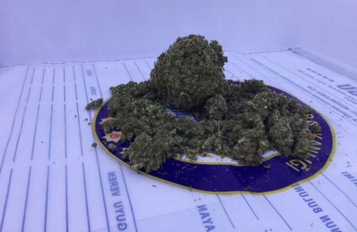 Park halindeki araçtan çıkanlar hayrete düşürdü