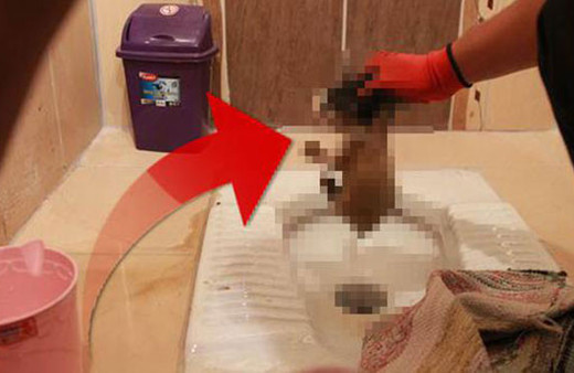 Tuvaletten çıkan 'yok artık' dedirtti