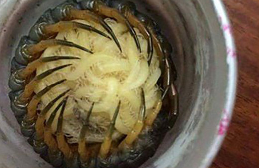 Doğanın korkutucu yüzü