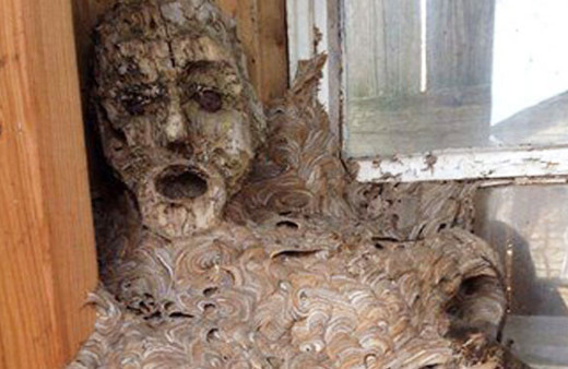 Karıncaların kaçışını gören şoke oluyor! Akıl sır ermez