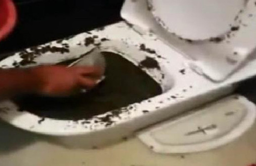 Klozetten çıktı görenler şaşkına döndü