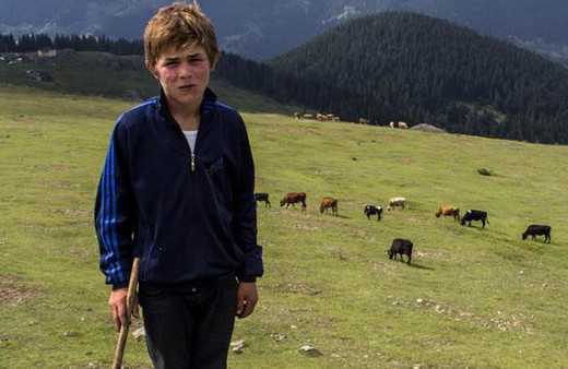 Türkiye onun için ağlamıştı! Eren Bülbül'ün adı ölümsüzleşecek