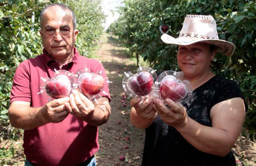 Hobisini mesleğe dönüştürdü paraya para demiyor