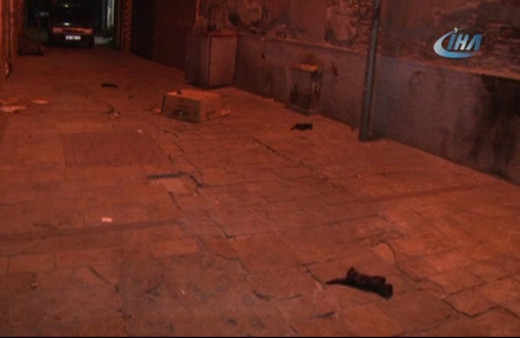 Yavru kediler ölü halde bulundu