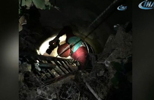 Pendik'te ikinci 'Kuyu' köpek olayı