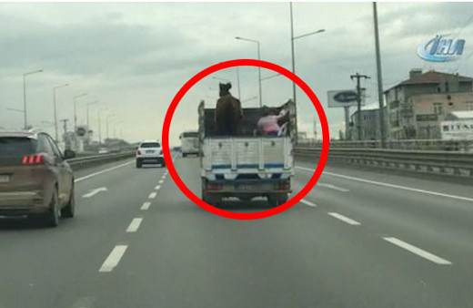 E-5 Otoyolunda şoke eden görüntüler canlarını hiçe saydılar