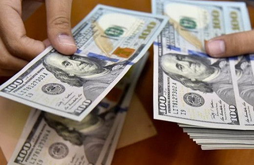 Merkez Bankası'ndan dolar tahmini