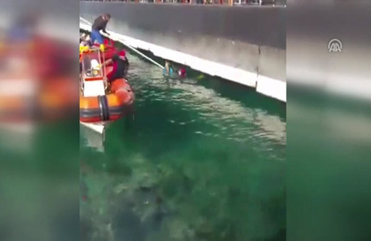 İskele altına sıkışan kediyi dalgıçlar kurtardı