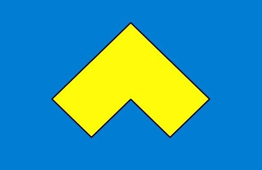 Bu testi sadece dahiler 30 saniyede çözebiliyor!