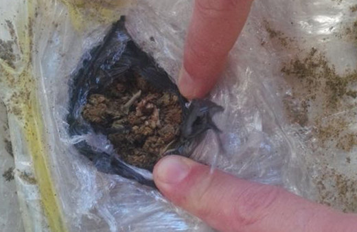 Denizden 51 valiz çıktı: Değeri 12 milyon lira!