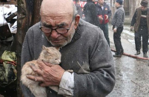 Ali dede kedilerine  kavuşmak için gün sayıyor