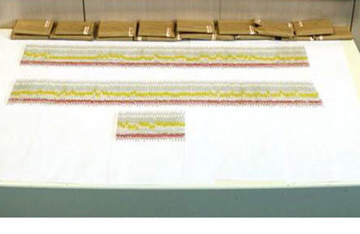 Elazığ'da 280 tüp kobra yılanı zehri ele geçirildi