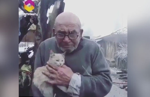  ABD'li komedyen Ellen Degeneres, kedisi için gözyaşı döken Ali Dede'nin videosunu paylaştı!