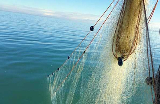 Denizden 14 bin metrekare hayalet ağ çıkarıldı