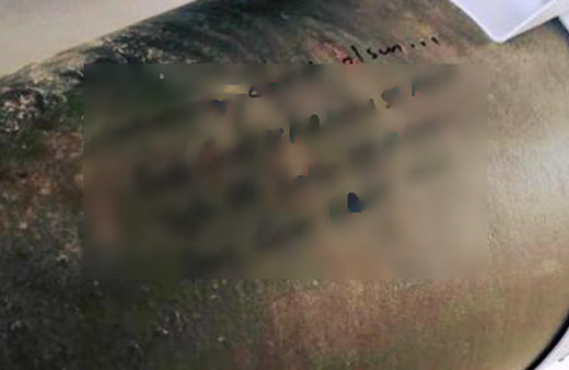 Bombaların üstüne bunları yazıp teröristlere yolladılar